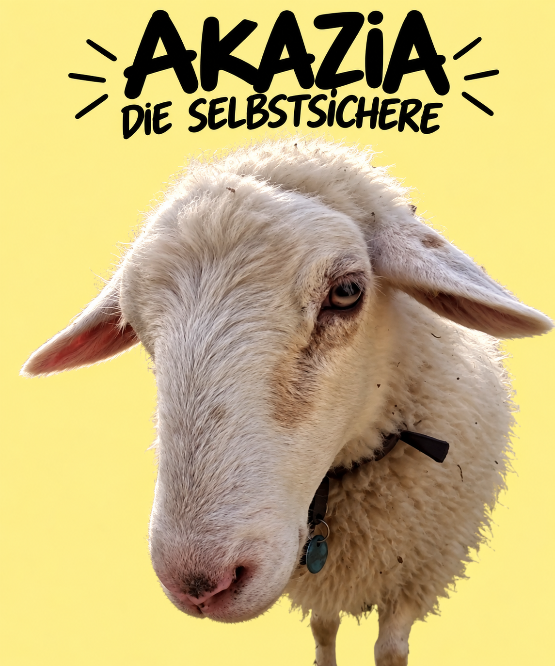 Akazia – die Selbstsichere
