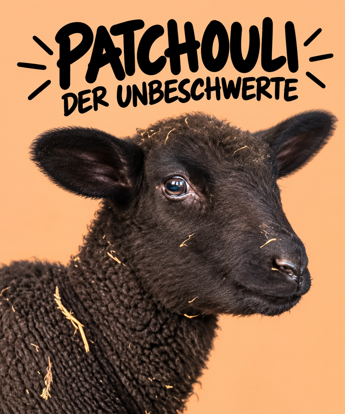 Patchouli – der Unbeschwerte